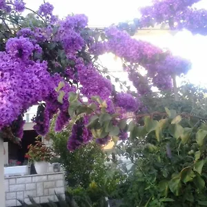 Branka Rab Town